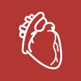Coronary Coronary