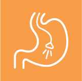 Endoscopy Endoscopy